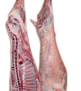 Copacol halal Frozen Lamb Half Carcass