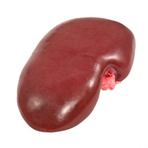 Copacol Frozen Pork Kidneys