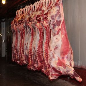 Buy Copacol Frozen Whole Buffalo Carcass